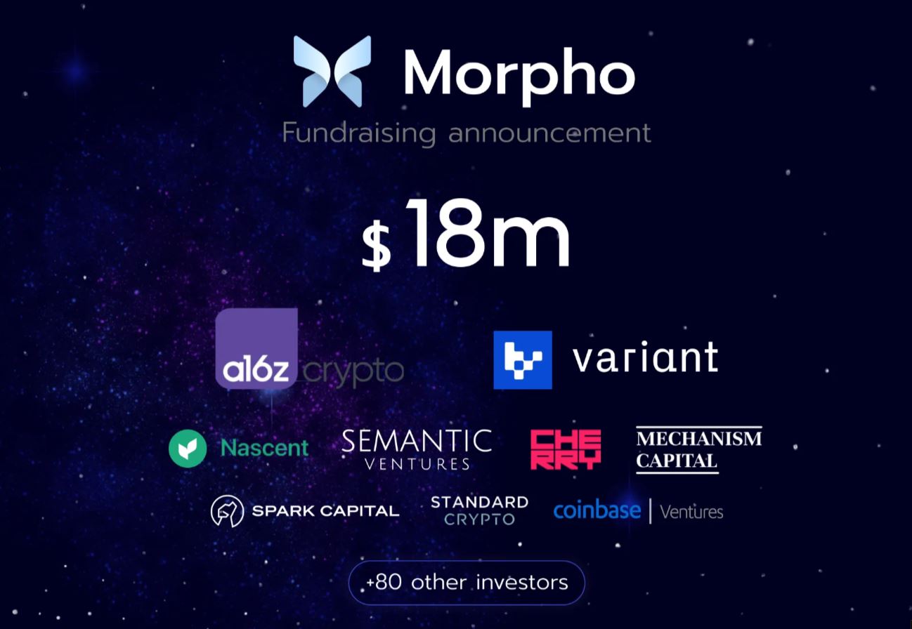 morpho - airdrop